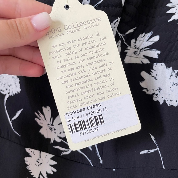 BOG Collective - Picture 3 of 3